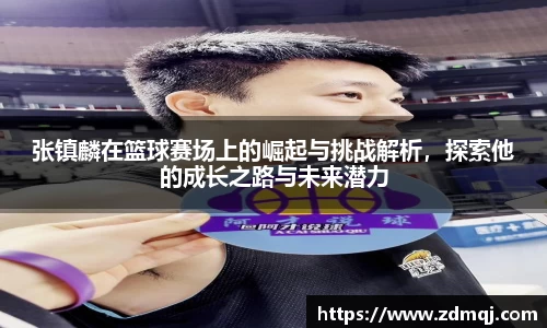 张镇麟在篮球赛场上的崛起与挑战解析，探索他的成长之路与未来潜力